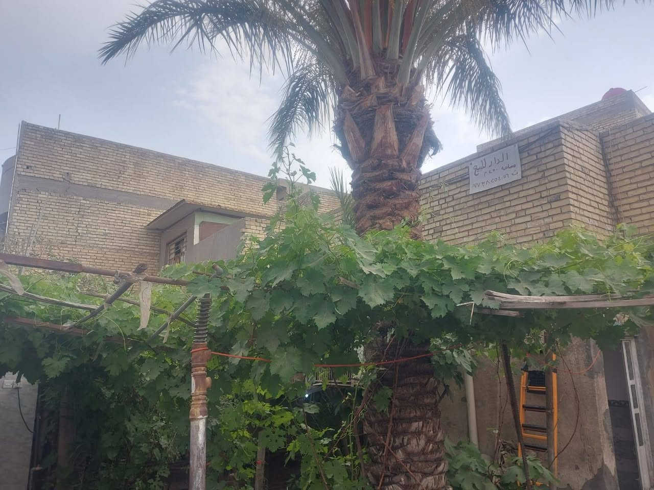 دار للبيع مساحة ٢٥٠ م واجهة ٥ ،١٢ م ونزال ٢٠ م زراعي سند ٢٥ باسمي من التسجيل العقاري بغداد حي السفير مقابل سكلة ابو جمال مكونه من ٢ غرف وصالة  واستقبال ومطبخ وحمام وكراج  كبير وحديقة مثمرة تغطي كل المساحة الخارجية وصحيات خارجية أرضية البيت كرانيت درجة أولى   ثلاث خطوط ماء . خابط واسالة ،كهرباء وتبليط ومجاري . يصلح ان يقسم دارين .اتصل  ***********
