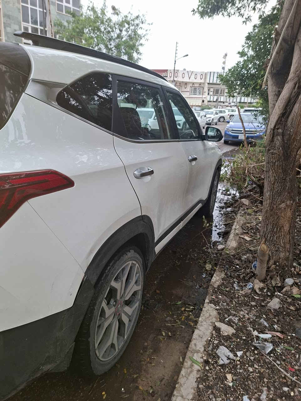 كيا سلتوز ٢١ فول مواصفات وارد امريكي
تبريد قطعتين...تدفئه بالكشنات..كشن كهرباء. فتحه سلايد روف
محرك ١٦٠٠ تيربو. تحكم ستيرن ..شاشه اعطال قياده ذاتيه....رادار
اشاير بالمري...مسويلها ادامه كامله صدر جديد زوج تايرات جدد..باتري جديد ...للبيع فقط ب١٢٦ ورقه بيها مجال مكاني بغداد الحريه او الكاظميه ***********
