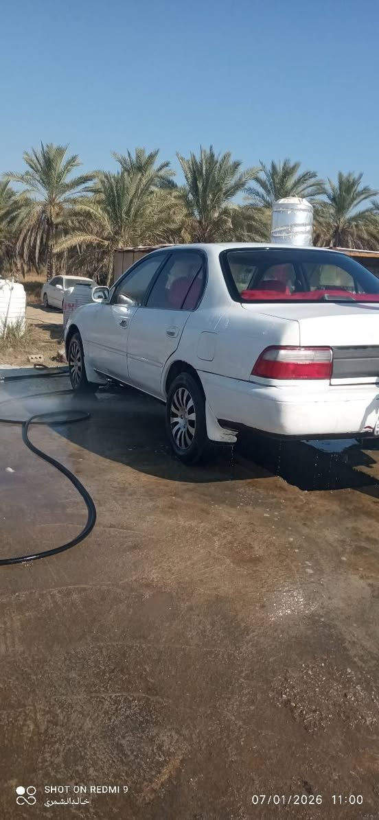 كورلا للبيع موديل 94 رقم انبار السنويه لل 30 راعيها يريد تحويل مكينه وكير حاويه جدد مكينه 1800 المرغوب كير دمفش حداديه جديده دشبول جديد شاشه  كهربائيات كلها شغاله جام اوتو سنتر لوك تقفيل على الريموت تبريد شغال بطاين جدد لايت زنون شمسي والعالي ثلجي باتري جديد تخم تايرات دوشمه جلد ويل كب بيها ضربه بالحوض شبرين  السعر 55 قفل السياره متعوب عليها ربع دينار متصرف عليها نافضها نفض من الدعاميه للدعاميه العنوان بابل قضاء
الكفل ***********
