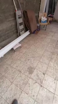 دار للايجار • ١٥٠م • ٢غرف