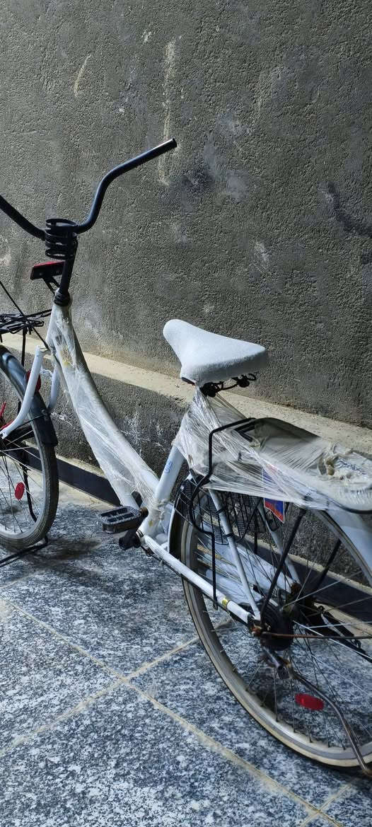 السلام عليكم باسكل للبيع (ويل الوره مبدل يحتاج بس بوليش يجي وياي طوك وبريك كدام بدون جاملغ امامي شركه BD المكان ناصريه محطه القطار السعر مناسب جدا اتصل على الرقم
***********
