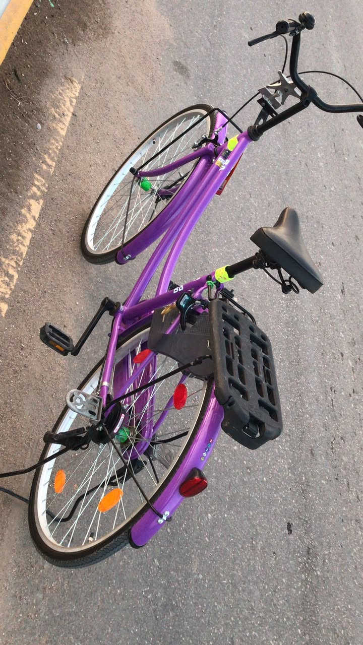 السلام عليكم 
باسكل للبيع 
موديل2021
باسكل لون مميز
صارله 3ايام من 
نازل من كرار ابو النقش
تريده هوه وغراضه تريده 
بلادي مكاني مشخاب 
السعر هوه وغراضه 175
بدون غراض ع وضع الشركه 140


**إذا كنت صاحب هذا الإعلان وتريد حذفه لأي سبب، رجاءا أرسل رسالة إلى الدعم الفني**