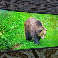 بلازمه حجم 55 انترنت سمارت سعرها 270 مكاني بغداد بالعبيدي