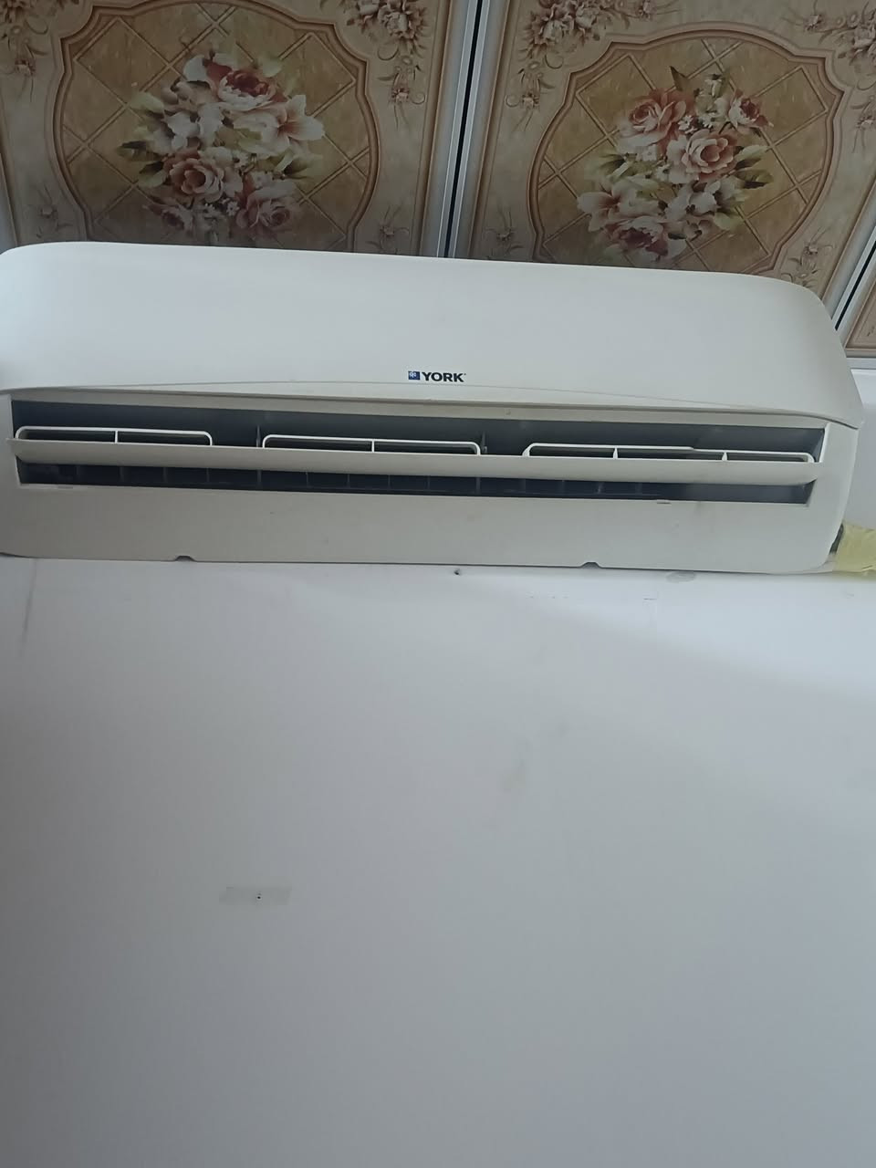 سبلت نوعيه يورك أخو جديد مكاني ديوانيه حي فرات ‏‪***********‬‏سعره 250
