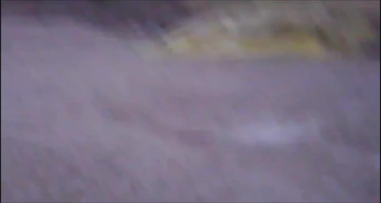 السلام عليكم طياره درون جديد كامره حلوه ونشررات قويه وغراضه كامله عوزهه بس بطاريه مثل هاي النوعيه وهذا تصويره السعر 30


**إذا كنت صاحب هذا الإعلان وتريد حذفه لأي سبب، رجاءا أرسل رسالة إلى الدعم الفني**