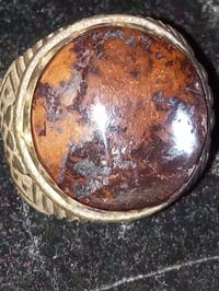 محبس داودي • نادر