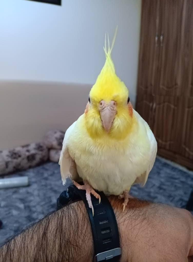 ئەم دووکۆکتێلە مێیەن ماڵین بۆفرۆشتن لەسلێمانی مشتەریت مسج بنێرن السليمانية, العراق


**إذا كنت صاحب هذا الإعلان وتريد حذفه لأي سبب، رجاءا أرسل رسالة إلى الدعم الفني**