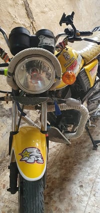 ديوان ٢٠٢٢ • كفاله عامه • اوراق اصلية