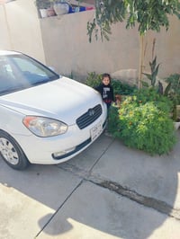 اكسنت ٢٠١١ • كوبون • كركوك