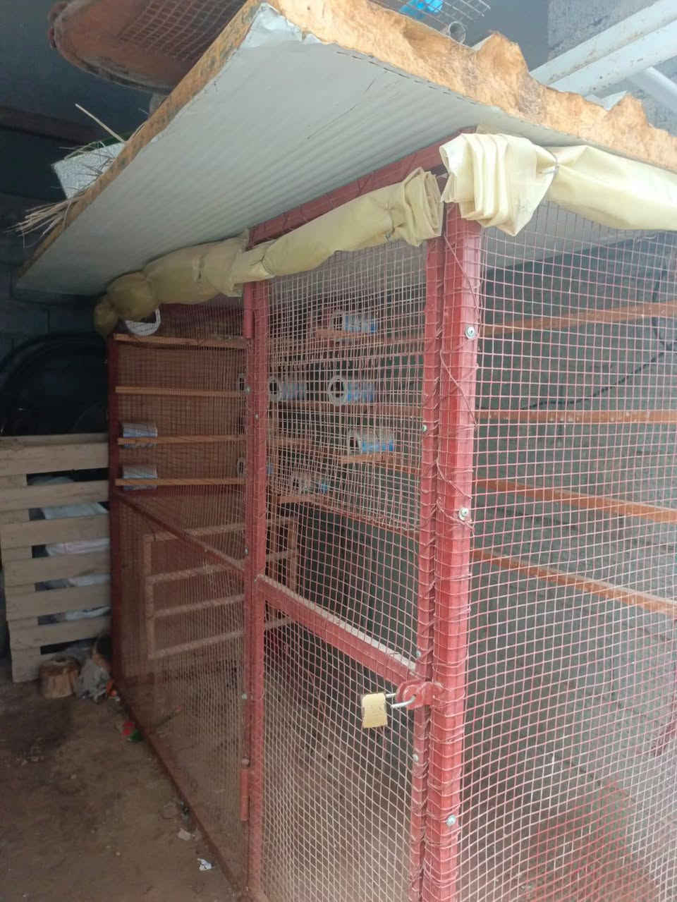 قفص للبيع العرض 90 الطول مترين الرتفاع مترين ***********
