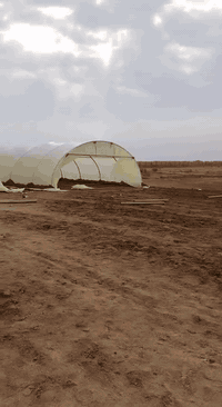 #السلام عليكم اخوان على بركه الله تعالى تم وصول وجبه جديده من البيوت البلاستيكية لبناني الصنع جديد غير مستعمل حديد ثقيل مغلون مع سيم ونايلون تركي ضمان 3 سنوات 180 مايكرو
قياس النايلون 33×14 لكل بيت /2/ روله
سيم /50/ كيلو لكل بيت
 عدد الاقواس/ 22/ قوس الطول/52/ متر والعرض/9/ متر #للاستفسار ***********/*********** يوجد توصيل لكافه المحافظات ويتوفر ايضا كادر لنصب البيوت .
#العنوان. بابل محاويل ناحيه الامام الطريق السريع.
