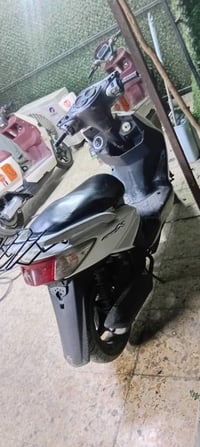 حبايب سكنس فحل  للبيع 450 ملاحضه مكلف بل نشر هاذ صاحب الدراجه  0775862...