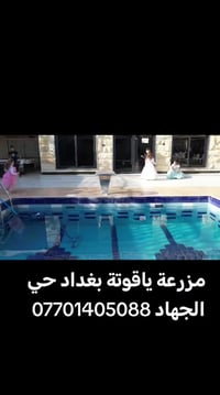 ليش تحتار وتروح بعيد؟ 🌿 خليكم بنص بغداد وعيشوا أجمل الأوقات! مزرعة ممي...