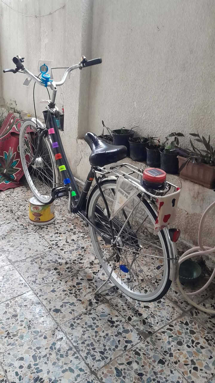 السلام عليكم بايسكل بناتي حجم 26 بايسكل جديد حاويه منزله تايرات جوابه بريكات حساس داينمو شغال ثلجي زنون السعر 120وبي مجال قليل المكان بغداد الحسينيه الراشديه قرب تقاطع بيت ورد جريخي............ ملاحضه بيع بدون اغراض.  !..............  شراي تعال خاص مو شراي اعبر المنشور رجائن


**إذا كنت صاحب هذا الإعلان وتريد حذفه لأي سبب، رجاءا أرسل رسالة إلى الدعم الفني**