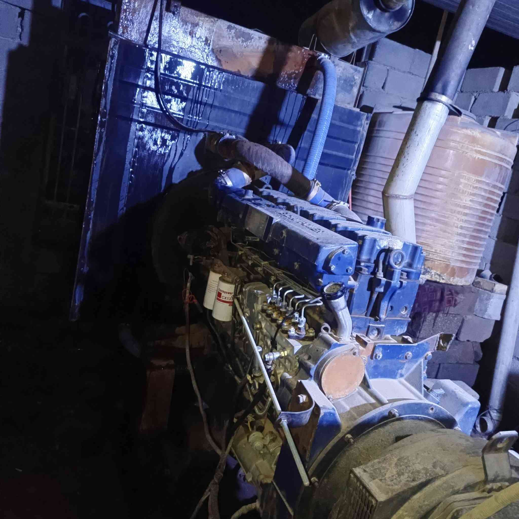 للبيع شتاير ٢٤لا تنقيص ولا تبخير راس توالد ٢٢٥السعر ٥٠عله حمل ***********
