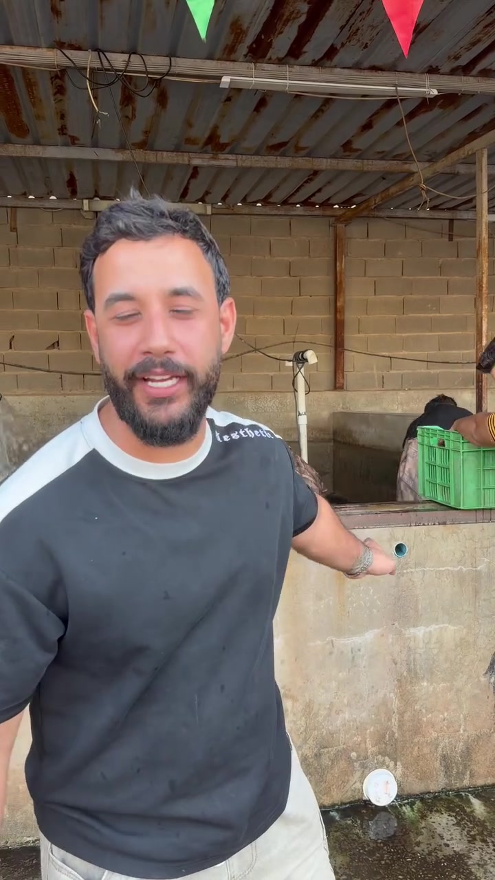 علوه سيد هاشم الاول عل عراق 
رجعنالكم من جديد 
يتوفر دجاج جميع الاوزان 
يتوفر سمك شوي درجه اولى 
ونضافه واحد على واحد ✌️
رقم الحجز 
***********
