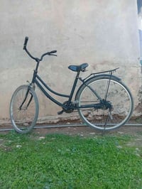 بوسكل حدباء • حجم 26