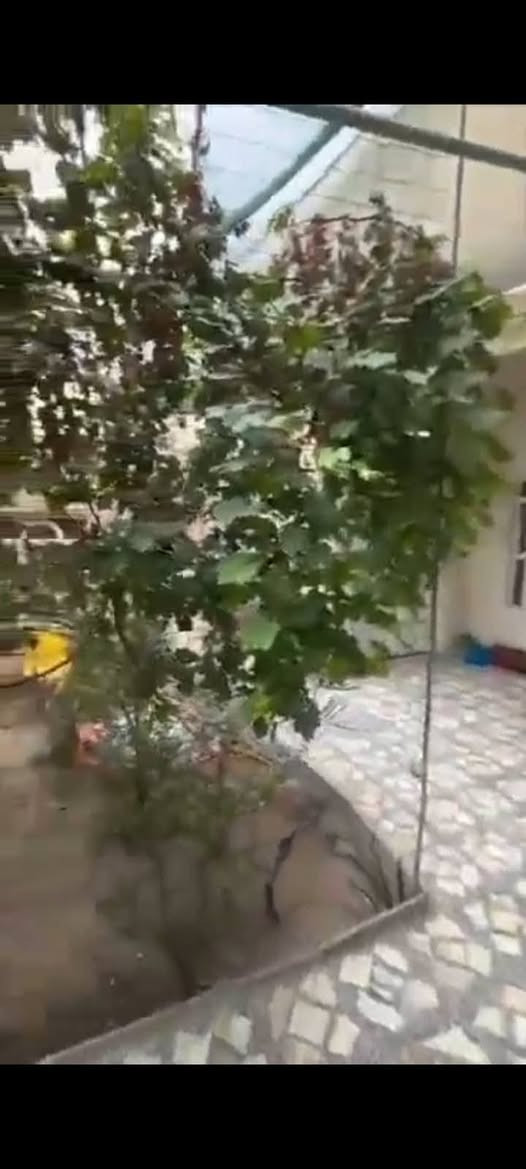 دار للايجار
200 م الايجار 500
نجف حي جمعيه قرب جامع البصراوي يحتوي ع غرفتين وصاله وستقبال ومطبخ وصحيات وطارمه وحديقه
#اشاره


**إذا كنت صاحب هذا الإعلان وتريد حذفه لأي سبب، رجاءا أرسل رسالة إلى الدعم الفني**