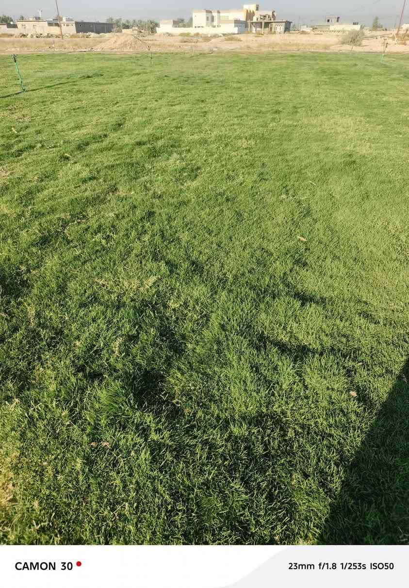 ثيل ديالى الطبيعي 🍀 متوفر كافة انواع الثيل
الثيل امريكي والهندي والايطالي والفرنسي
كادر متخصص :
لتجهيز... مشاتل🌴
والدوائر حكوميه🏦
منازل🏡 منتزهات🏄
موجود خدمة توصيل 🚕🚕 لكل محافظات العراق 
للطلب التواصل مع الصفحة او الاتصال على 
***********
***********
