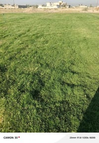 ثيل طبيعي • انواع متعددة • توصيل لكل المحافظات