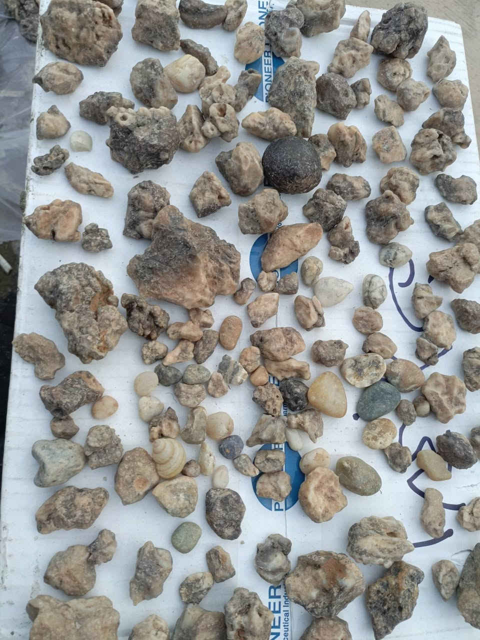 أحجار للبيع


**إذا كنت صاحب هذا الإعلان وتريد حذفه لأي سبب، رجاءا أرسل رسالة إلى الدعم الفني**