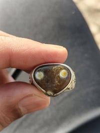 من رخصة الادارة • قطعة مختلفة • مدينة الصدر