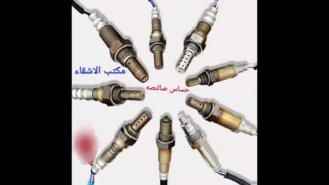 #حساس صالنصه


**إذا كنت صاحب هذا الإعلان وتريد حذفه لأي سبب، رجاءا أرسل رسالة إلى الدعم الفني**