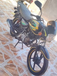 بوكسر • موديل 2019 • أوراق كامله