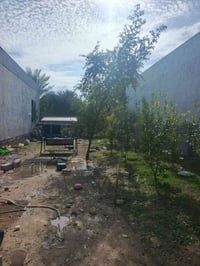 ساڵح ئاغا • ٢٠٧م • قريب مسجد وبازار