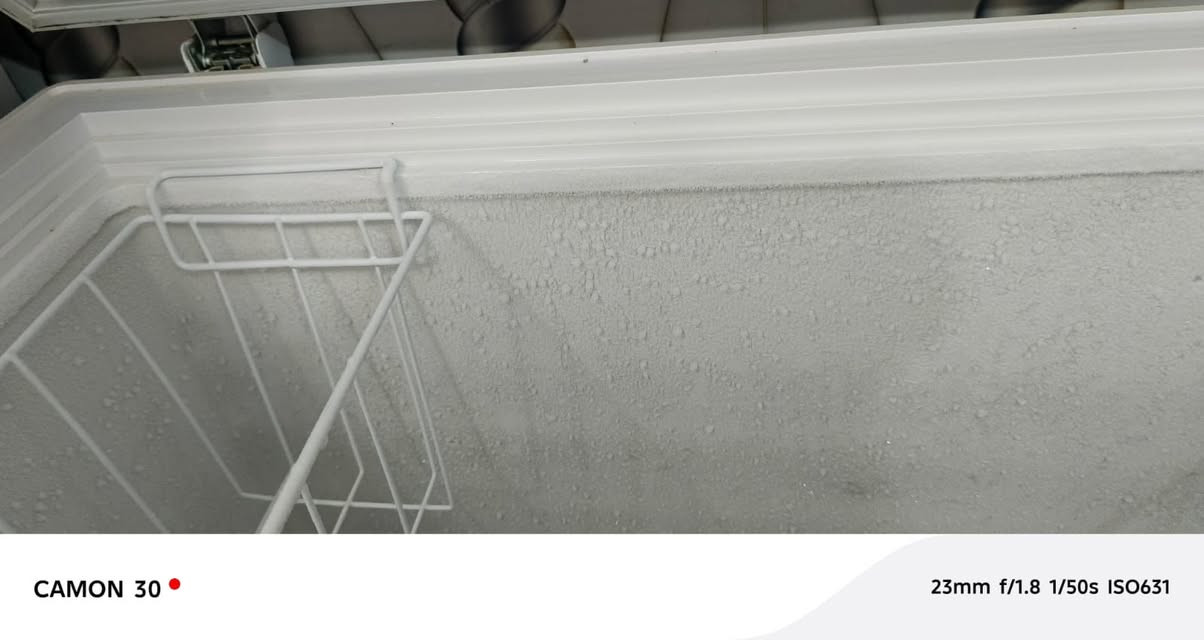 السلام عليكم مجمده البيع جديده ونضيفه كلش سعرهه 250وبيهه مجال


**إذا كنت صاحب هذا الإعلان وتريد حذفه لأي سبب، رجاءا أرسل رسالة إلى الدعم الفني**