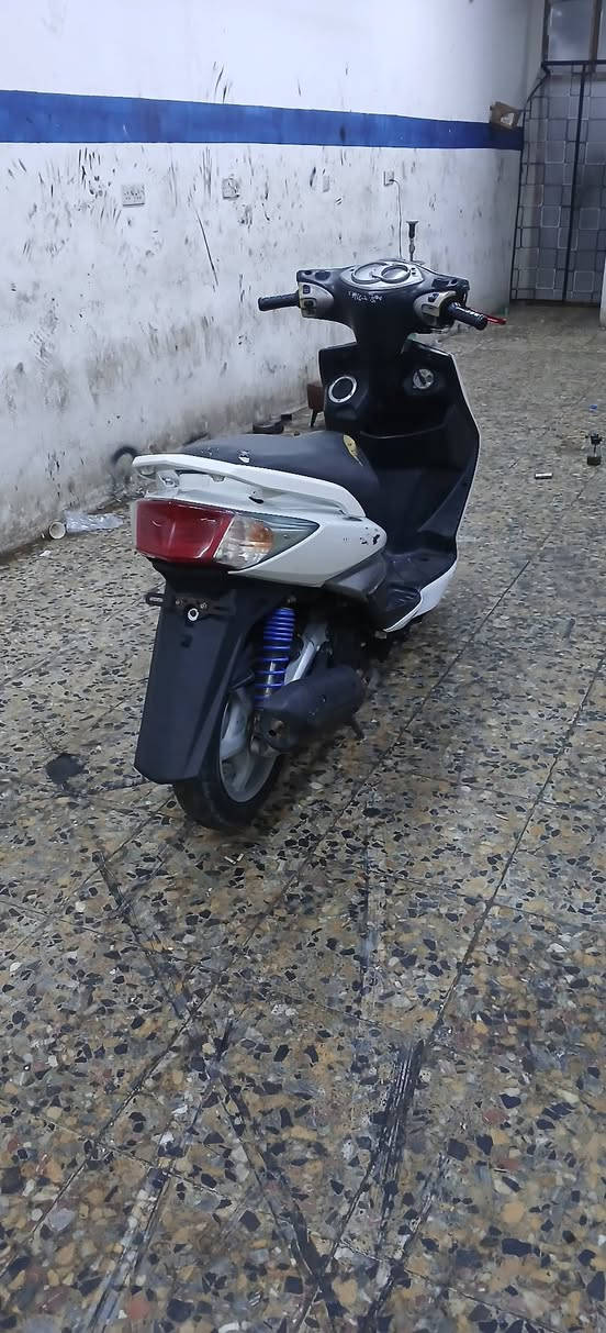 السلام عليكم سكنس فحل نوزل دراجه جاهزه شلعه معدل بوشه ٥٨ تفاصيل ***********
