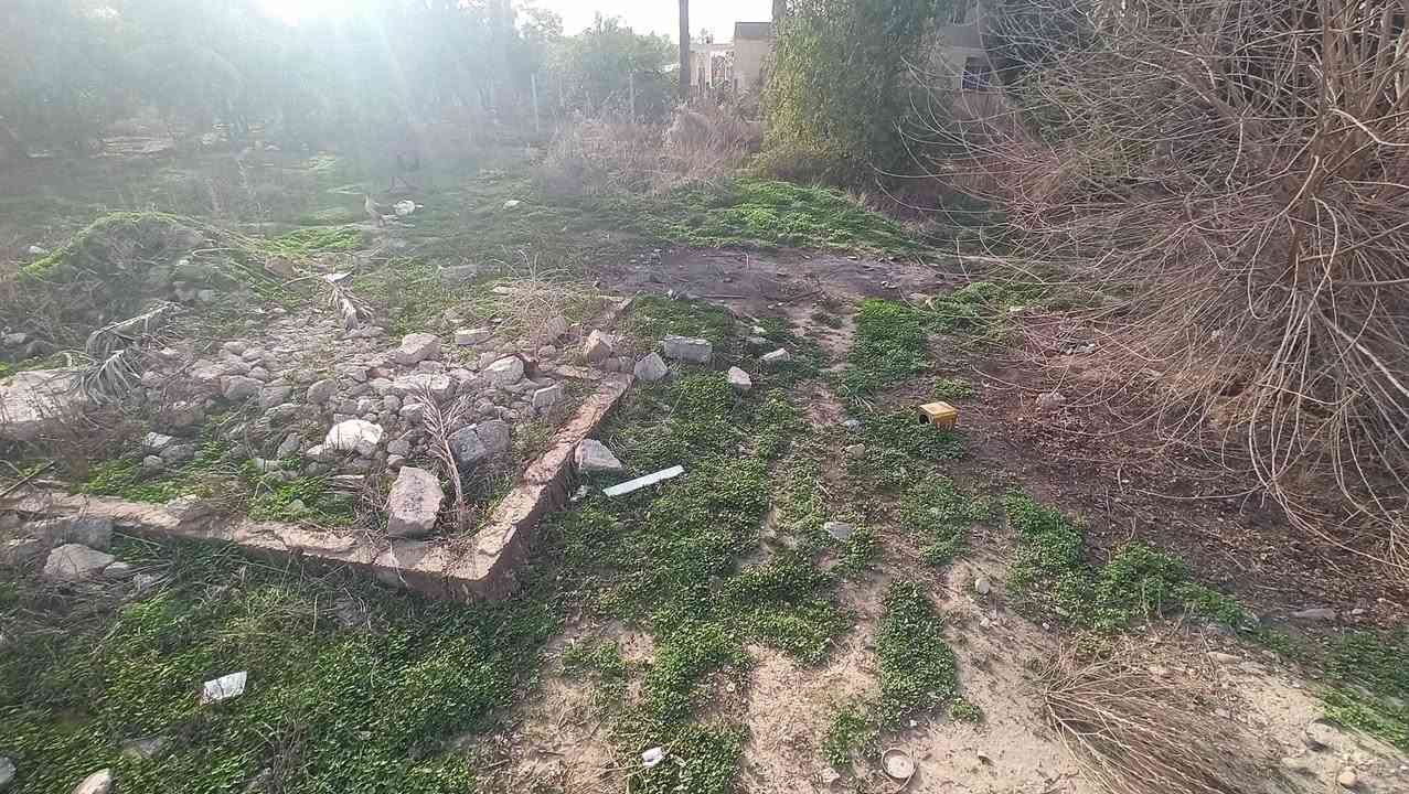 السلام عليكم 
قطعة ارض للبيع بالبدعيه مساحه الارض 460+20 متر فضله 
جنس الأرض طابو زراعي تبعد عن مشروع الاسحاقي 50 متر 
قريبه من بيت عدنان حمد بيها نخلتين خستاوي راقيات 
السعر 27 مليون ارخص قطعه بالبدعيه 
رقم الهاتف ***********
