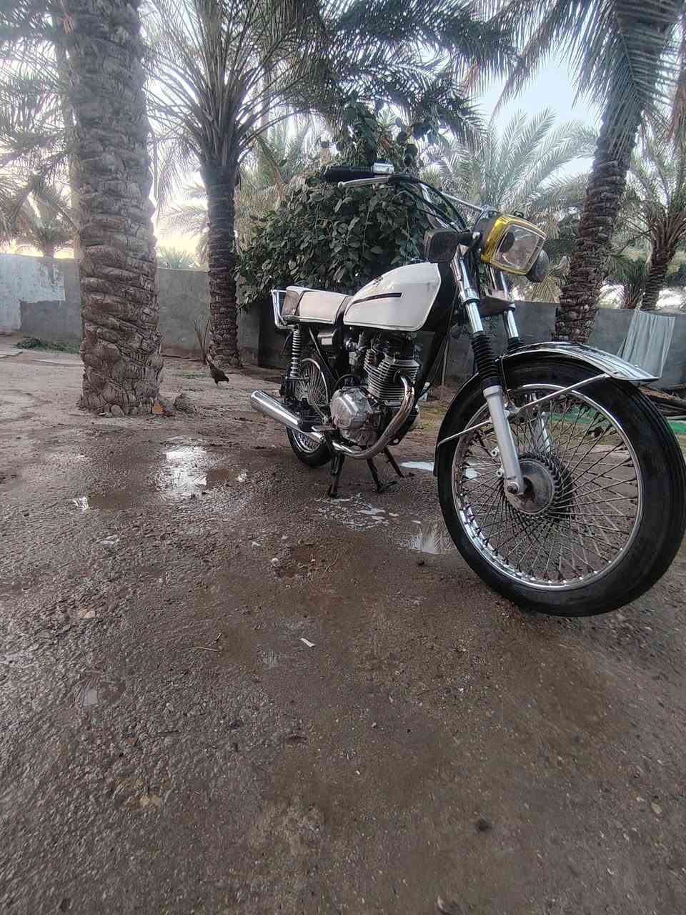 السلام عليكم دراجه تايكر 2019للبيع اوراق اصولي السعر 450وبيها مجال للشرايه مكاني. بابل القاسم


**إذا كنت صاحب هذا الإعلان وتريد حذفه لأي سبب، رجاءا أرسل رسالة إلى الدعم الفني**