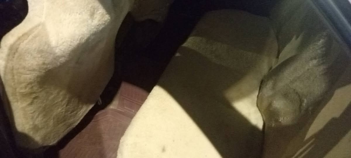 مرك لبيع نضافه ميه بل. ميه. مكفوله ضربه   كصه نقل رغم نكلزي مكان هارثه معمل ورق السعر 68 رغم بي وتساب ***********
