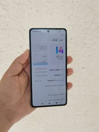 بوكو F4 GT • ٢٥٦/١٢ • حله شارع 40