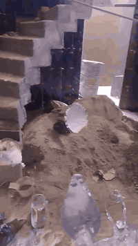 خلفه سيراميك وبروسلين شغل درجه اولى شغل ع الليزر والفابريتر الهزاز خاب...