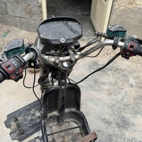 جبلي • نضيف • يشتغل