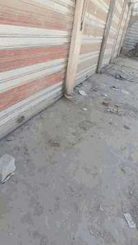 نجف بلكوفه • ٢٥٠م • ٥ محلات