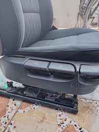 كشنات صقر • نضيفات • عليها مجال