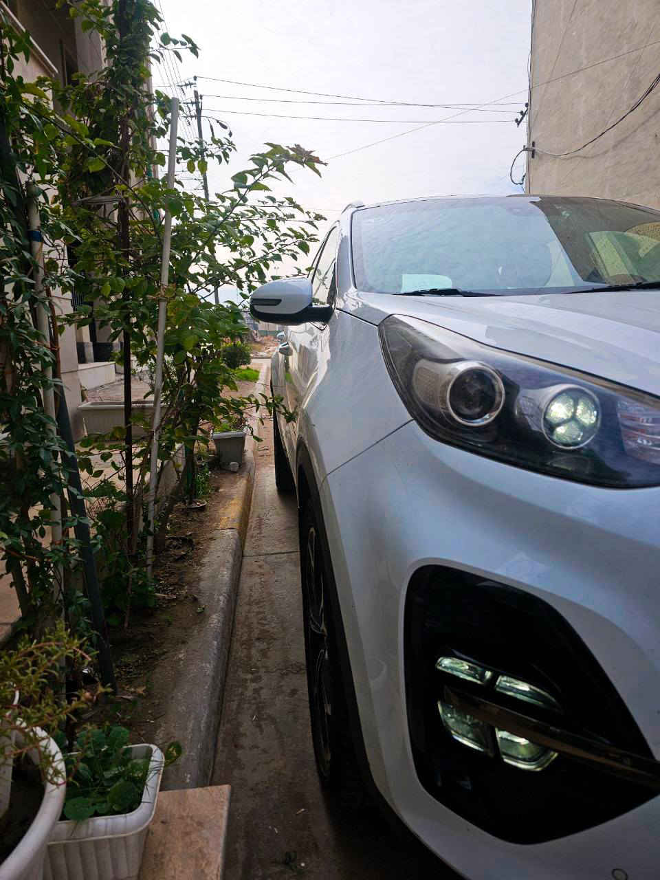 السلام عليكم للبيع
كيا سبورتاج GT موديل 2021 

لون أبيض. مقاعد جلد لون حمصي 

مواصفات 1/1 كشن كهربائي صندوق كهربائي سقف بانوراما 

السيارة ماشية 57 ألف بحالة ممتازة جداً جداً 

معروفة مواصفات الفول 

محرك 4 سلندر 2000 دوش 

ويل كب الحديث تخم تاير السيارة ما عايزها شيئ ومكملة 

السعر 228 

للتواصل ***********
                     أو 
             ***********

والحمدلله
