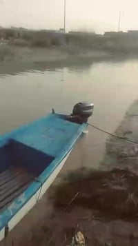 رخصه ادمن • ماكينة • فاو الجنوبي