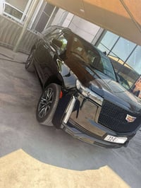 إسكاليد • ٢٠٢٣ • وكالة المنصور