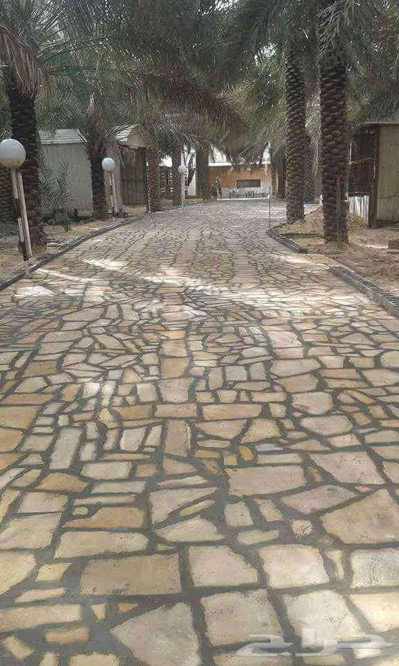 السلام عليكم خلفة بناء الحجر تطبيك ارضيات ممرات حجر تغليف سواقي والبحيرات والأنهار حجر بناء سياج 
الاستفسار والتفاصيل اتصال  ***********
