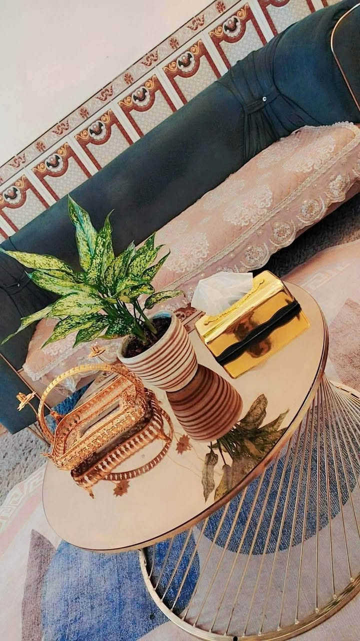 كاونتر المنتوم تسكام قوي وجديد مع سنك مرمر سعر 400
ثلاجه تجميد فول ما مصلحه سعر150 
طبلات كزاز 70
مجمع حطين


**إذا كنت صاحب هذا الإعلان وتريد حذفه لأي سبب، رجاءا أرسل رسالة إلى الدعم الفني**