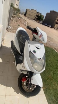 سكنس فحل • كوري • مامفتوحه