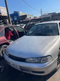 فاسوليا • ١٩٩٥ • أربيل