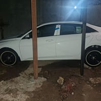 انتره • ٢٠٢٤ • كربلاء