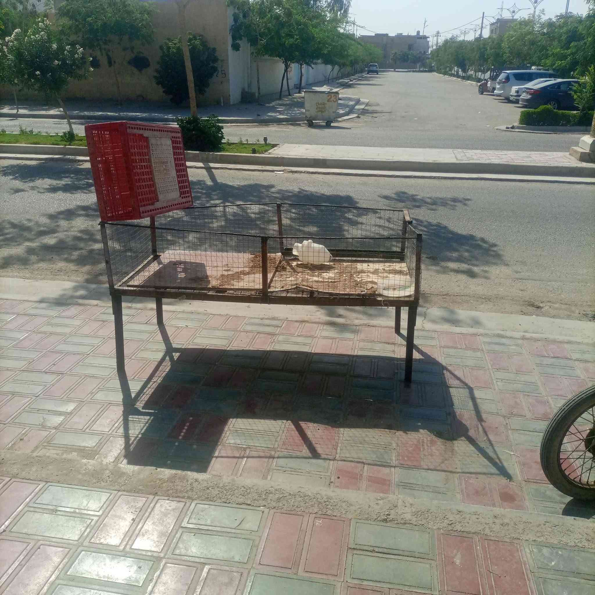 غراض محل دجاج وسمك للبيع بسعر مناسب 
للستفسار ‏‪***********‬‏
