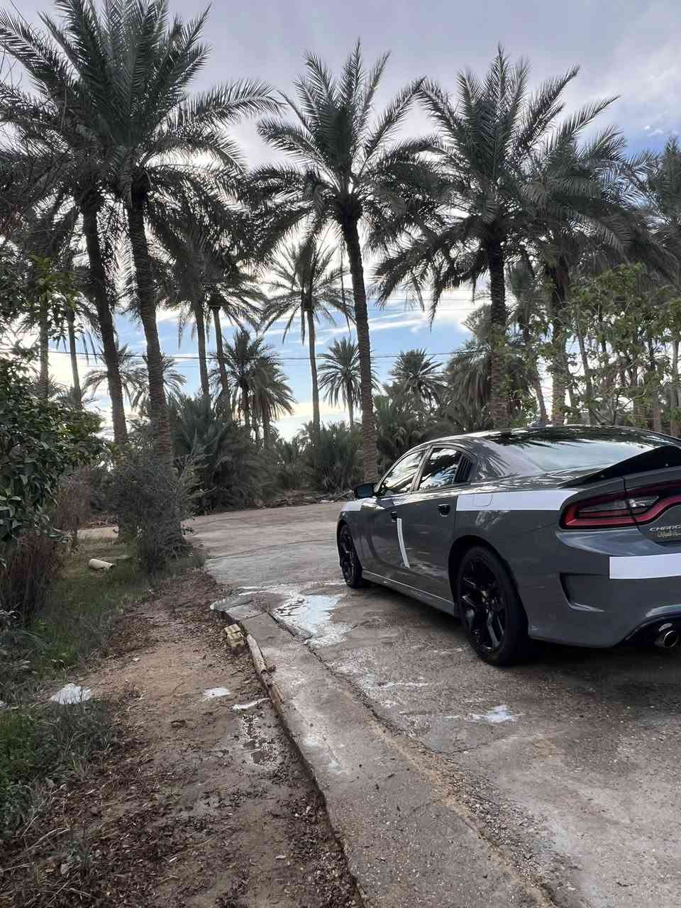 سلام عليكم دوج جارجر للبيع سياره جاهزه من حداديه من مكينه من كير كله جديده سياره ومعايزه برغي سياره ٢٠١٩اصل لسياره Gtلسياره بيه فقط بارد كلين لسياره بيه بارد خشم لجاملغ وباب لسايق فقط مكان بابل لسعر ٢٣٥وبيه مجال رقم ***********
