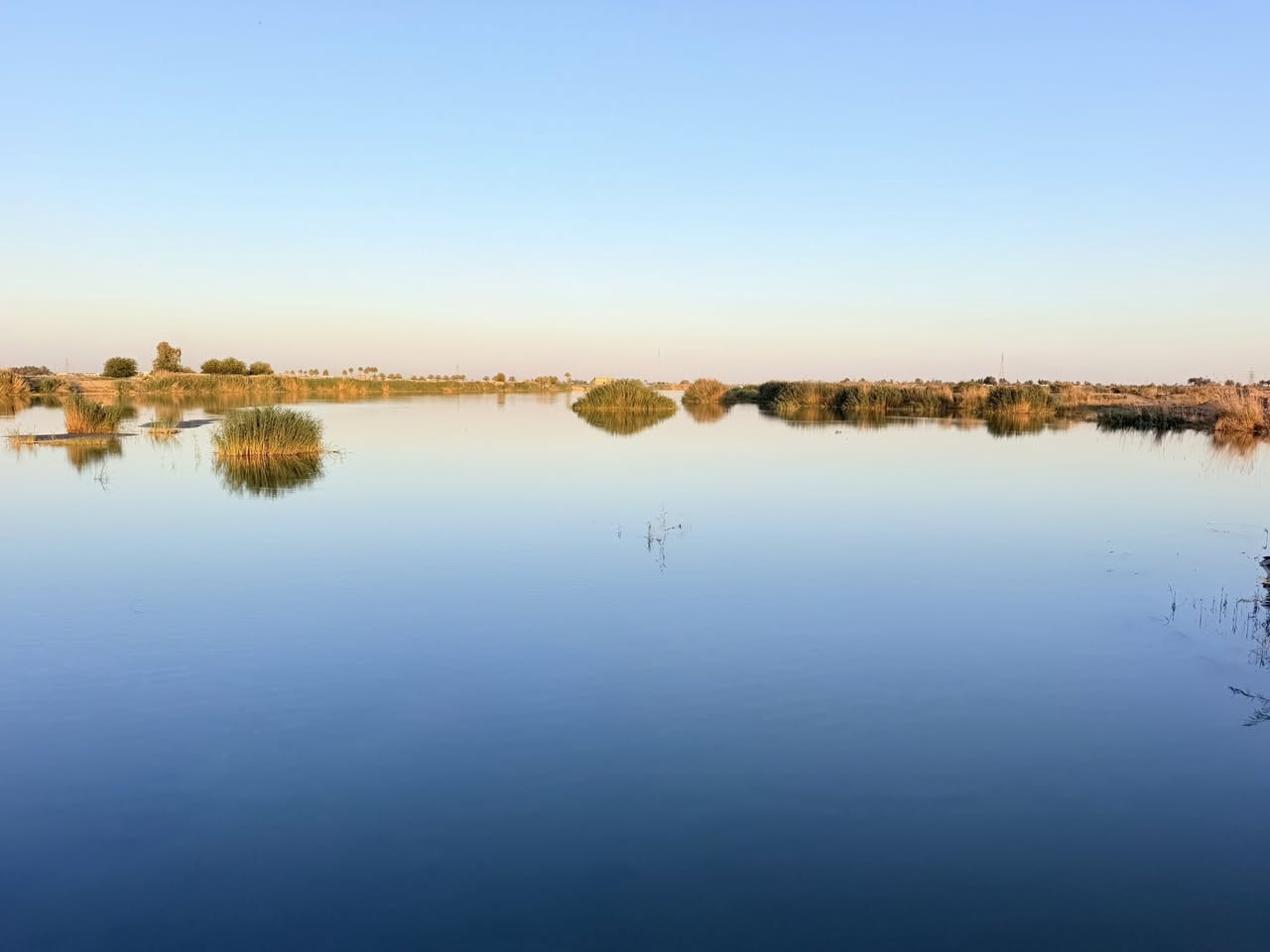 🌿 فرصة استثمارية– إطلالة مباشرة على الشط! 🌿

يعلن مكتب عقارات زنكورة عن عرض مميز لأصحاب الذوق الرفيع والمستثمرين، أرض بمواصفات ملكية تمتد من السدة وصولاً إلى ضفاف النهر.

📍 الموقع:

الأنبار - الرمادي - زنكورة (بعد مزرعة الشيخ إحسان)، موقع استراتيجي يجمع بين الهدوء والجمال.

📐 تفاصيل العقار:

• المساحة الإجمالية: 4 دونم.
• الواجهة: 40 متر.
• الوضع القانوني: 2 دونم طابو زراعي (سند 25).
• الخدمات: المنطقة مخدومة بالكامل (ماء، كهرباء، طرق).

✨ المميزات والاستخدامات:

تعتبر هذه الأرض الخيار الأمثل لتكون:
1. مزرعة VIP: بفضل موقعها المباشر على الشط وتربتها الخصبة.
2. مشروع استثماري: موقع حيوي ومميز يضمن نجاح أي مشروع سياحي أو ترفيهي.
3. مشروع زراعي: مساحة واسعة وخدمات متوفرة للإنتاج الزراعي.

عقارات زنكورة - وجهتكم الأولى للعقار.

لديك عرض أو استفسار؟ لا تشيل هم! 💬
فريقنا بانتظار تواصلكم للرد على جميع طلباتكم بكل اهتمام.
📲 اتصل أو أرسل لنا عبر الأرقام:
***********
***********
🏛️موقع المكتب ⏬️⏬️
أو زيارة موقعنا :  الرمادي_ ناحية اليرموك (زنكوره سابقاً)_ المفرق  /مقابل جامع هادي البشير (البمرعي)

#مكتب_عقارات_زنكورة 🕹️
 #ناحية_اليرموك_زنكوره_سابقاً
